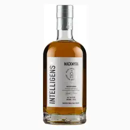 Mackmyra Intelligens AI.02