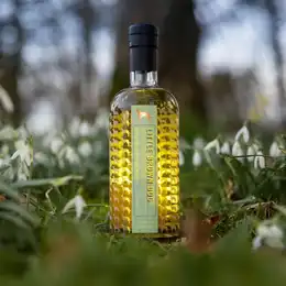 Dailuaine 16 Year Old Single Cask Little Brown Dog