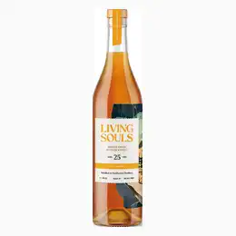 Dumbarton 25 Years Old Single Grain Whisky