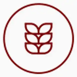 Arran Machrie Moor Cask Strength - First Edition
