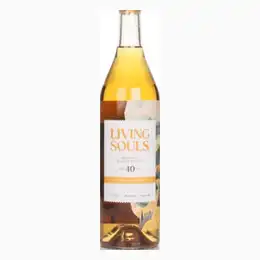 Living Souls 40 Year Old Blended Scotch Whisky - Batch #1 70cl - Whisky Souls